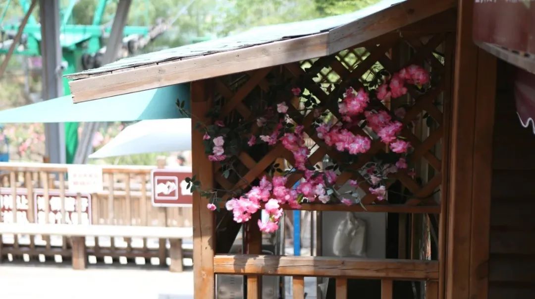 立足當“夏”，覓清涼 | 社科賽斯考研“清涼谷”團建之旅！